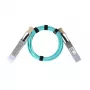 BlueOptics InfiniBand/šviesolaidinis kabelis 50 m QSFP Aqua spalva