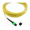 BlueOptics 470-ABGG InfiniBand šviesolaidinis kabelis 5 m MTP 4x LC