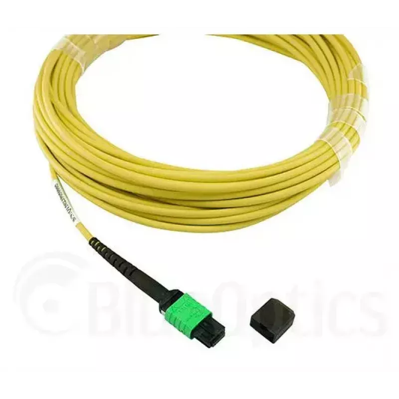 BlueOptics 470-ABGG InfiniBand šviesolaidinis kabelis 5 m MTP 4x LC