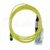 BlueOptics 470-ABGG InfiniBand šviesolaidinis kabelis 5 m MTP 4x LC