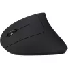 Pelė Inter-Tech KM-206L RF belaidė optinė