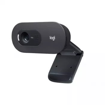 Internetinė kamera Logitech C505 HD 1280x720 USB juoda