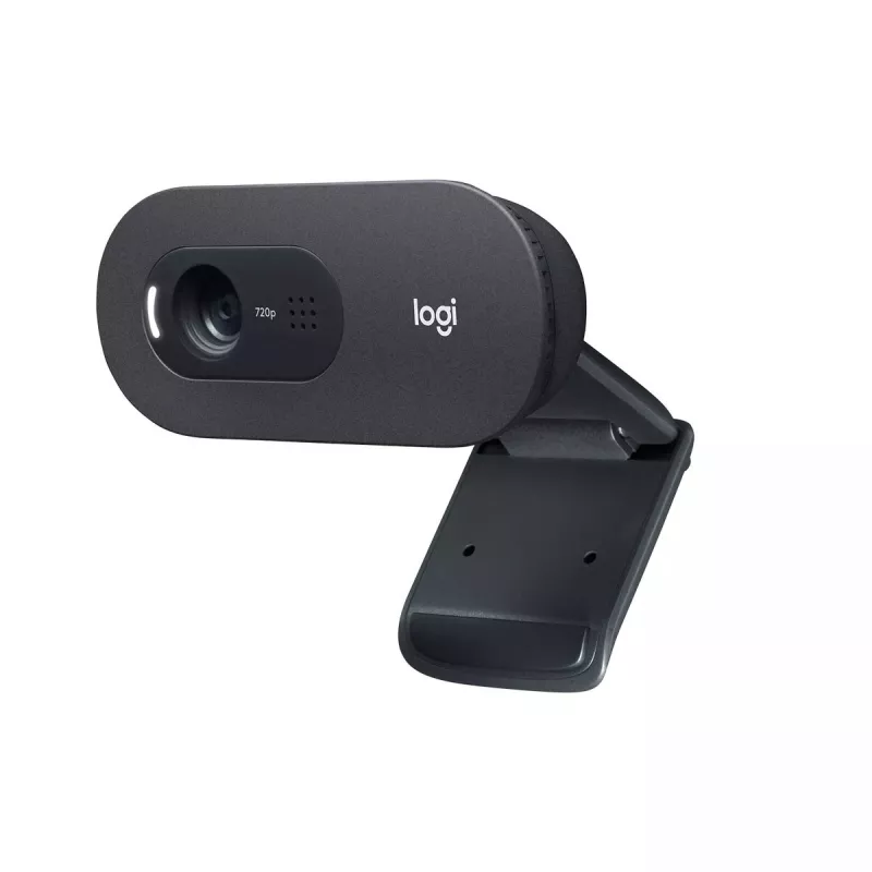 Internetinė kamera Logitech C505 HD 1280x720 USB juoda
