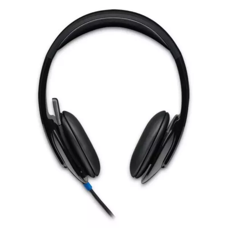 Ausinės Logitech H540