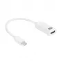 ACT 0,15 metro, Mini DisplayPort patinas į HDMI-A lizdas adapteris