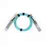 BlueOptics AOC-Q-Q-100G-1M-BO InfiniBand šviesolaidinis kabelis 1m QSFP28 kištukas/kištukas