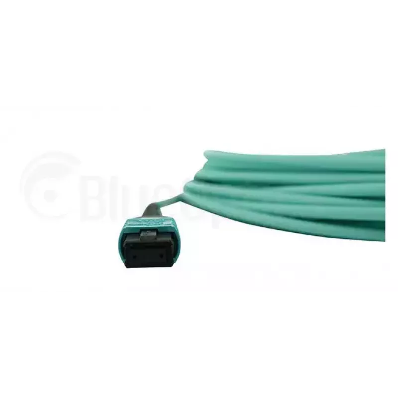 BlueOptics AT-MTP12-1-BO InfiniBand šviesolaidinis kabelis 1 m MTP OM3