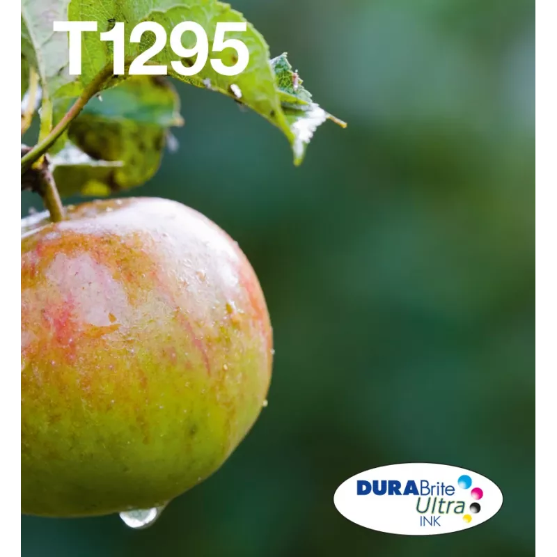 Epson Apple Multipack 4-colours T129 EasyMail, Juoda, Žydra, Magenta, Geltona, 11.2 ml, 7 ml, 1 vnt., Multi pack