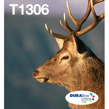 Kasečių rinkinys Epson T1306 DURABrite Ultra 3 spalvos (žydra, purpurinė, geltona) didelės (XL) talpos, 3 vnt.