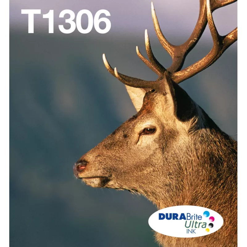 Kasečių rinkinys Epson T1306 DURABrite Ultra 3 spalvos (žydra, purpurinė, geltona) didelės (XL) talpos, 3 vnt.
