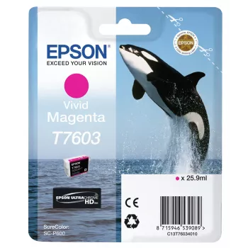 Rašalo kasetė Epson T7603 Magenta