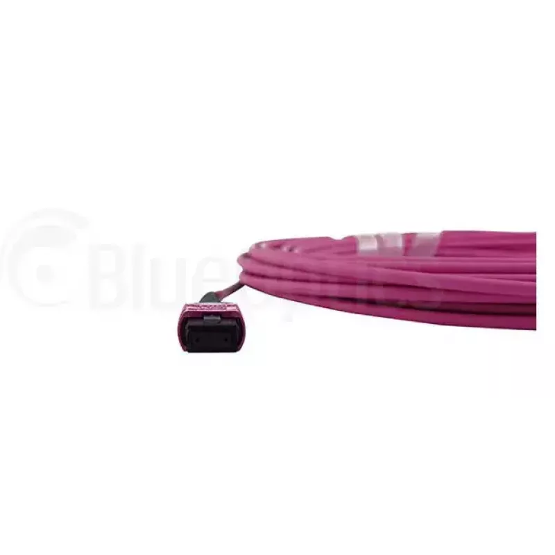 Skaidulinis optinis kabelis MPO BlueOptics CBL-MPO12-OM4-1M 1m OM4