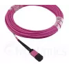 Skaidulinis optinis kabelis MPO BlueOptics CBL-MPO12-OM4-20M-BO 20m OM4