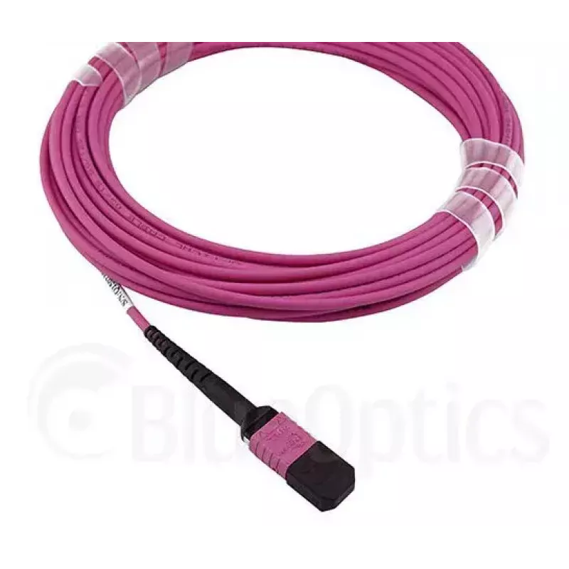 Skaidulinis optinis kabelis MPO BlueOptics CBL-MPO12-OM4-20M-BO 20m OM4