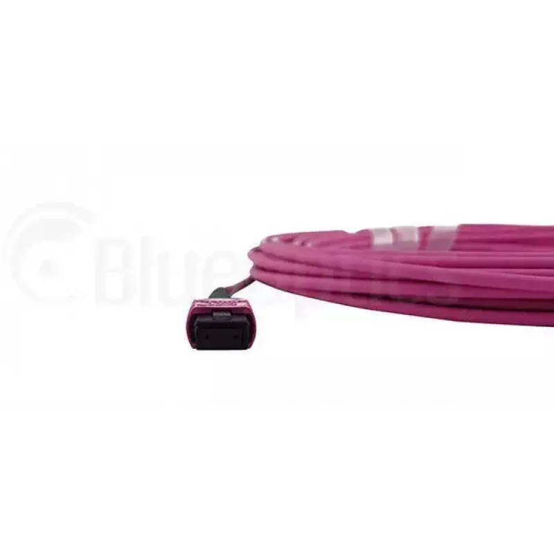 Skaidulinis optinis kabelis MPO BlueOptics CBL-MPO12-OM4-20M-BO 20m OM4
