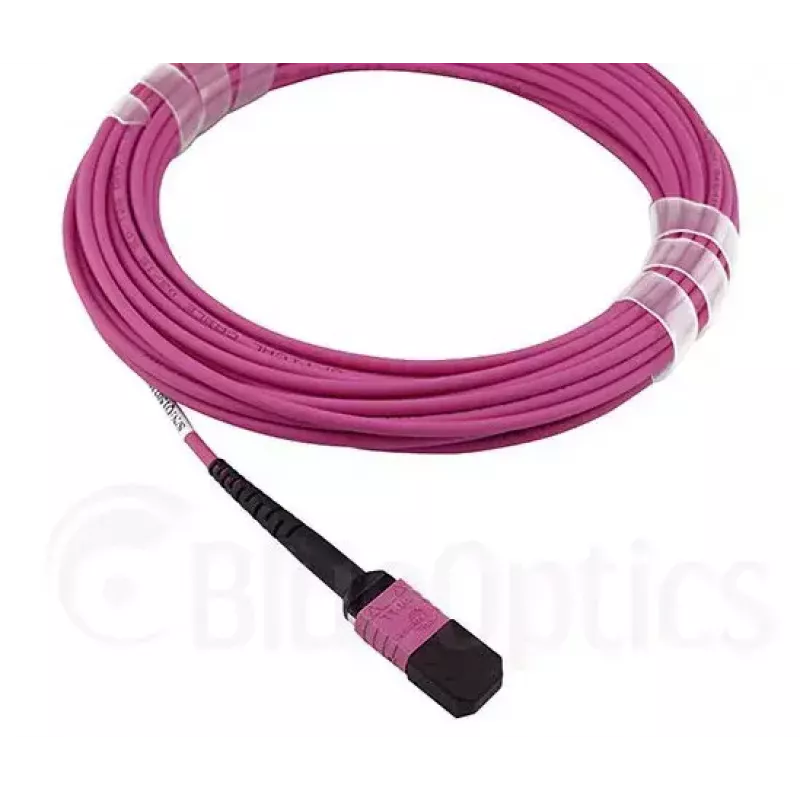 BlueOptics CBL-MPO12-OM4-2M InfiniBand šviesolaidinis kabelis MPO 2m OM4