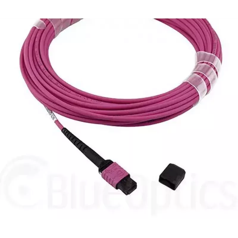 BlueOptics CBL-MPO12-OM4-2M InfiniBand šviesolaidinis kabelis MPO 2m OM4