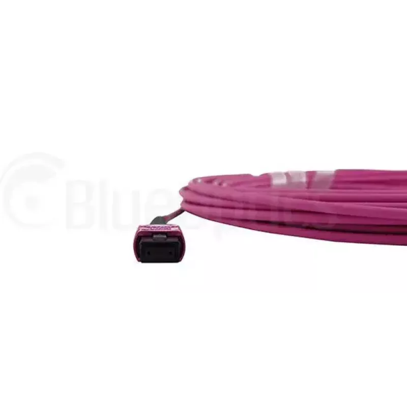 BlueOptics CBL-MPO12-OM4-2M InfiniBand šviesolaidinis kabelis MPO 2m OM4