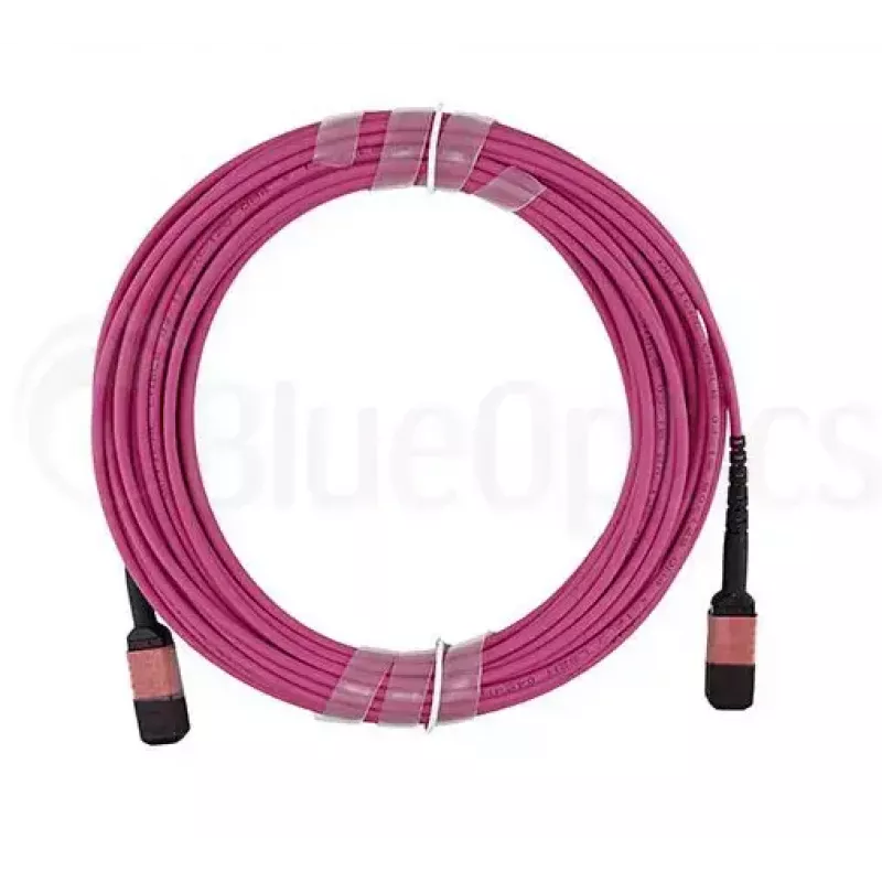 BlueOptics CBL-MPO12-OM4-2M InfiniBand šviesolaidinis kabelis MPO 2m OM4
