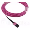 BlueOptics CBL-MPO12-OM4-3M-BO MPO šviesolaidinis kabelis 3m OM4 50µm