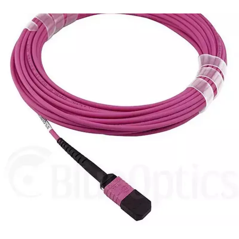 BlueOptics CBL-MPO12-OM4-3M-BO MPO šviesolaidinis kabelis 3m OM4 50µm