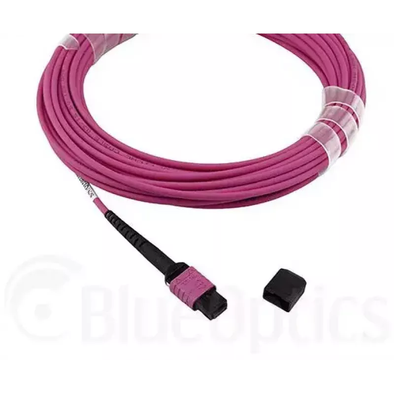 BlueOptics CBL-MPO12-OM4-3M-BO MPO šviesolaidinis kabelis 3m OM4 50µm