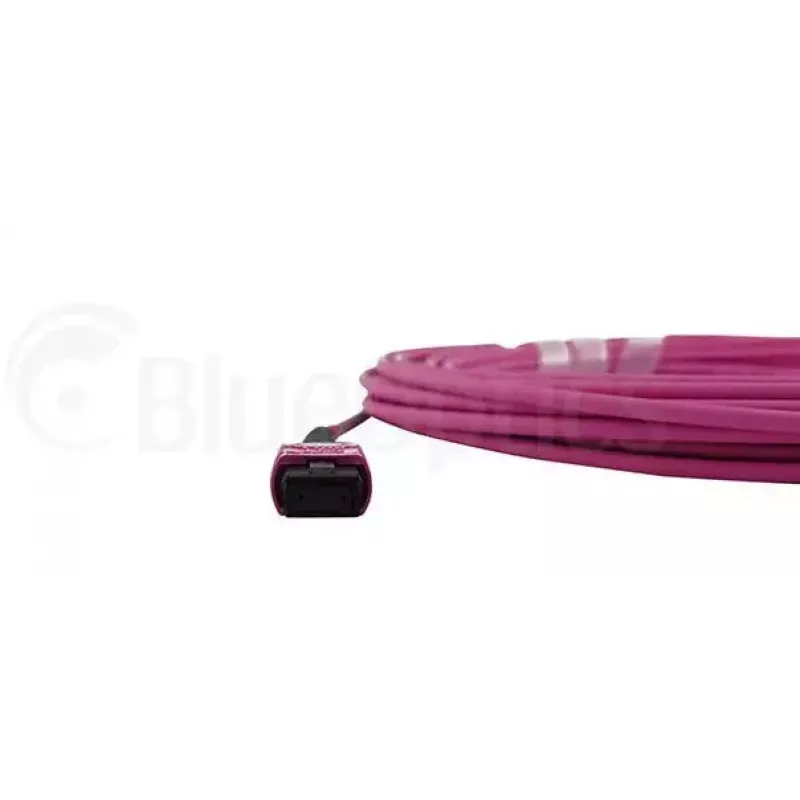 BlueOptics CBL-MPO12-OM4-3M-BO MPO šviesolaidinis kabelis 3m OM4 50µm