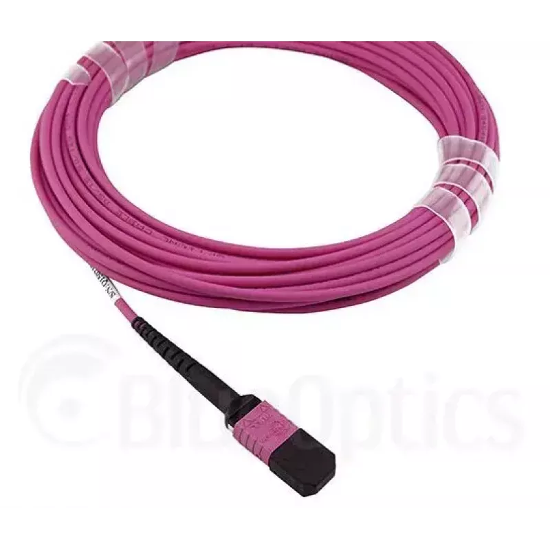 Šviesolaidinis kabelis MPO BlueOptics CBL-MPO12-OM4-5M-BO 5 m OM4 50 µm