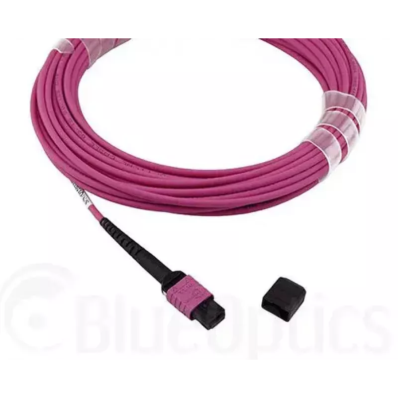 Šviesolaidinis kabelis MPO BlueOptics CBL-MPO12-OM4-5M-BO 5 m OM4 50 µm