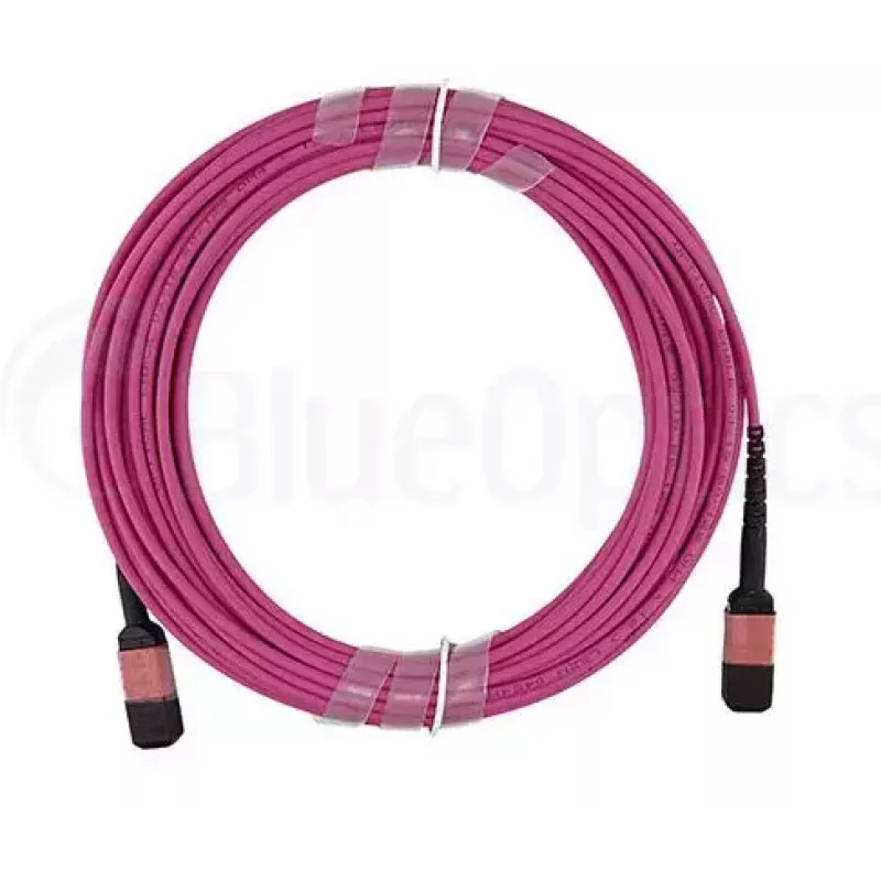 Šviesolaidinis kabelis MPO BlueOptics CBL-MPO12-OM4-5M-BO 5 m OM4 50 µm