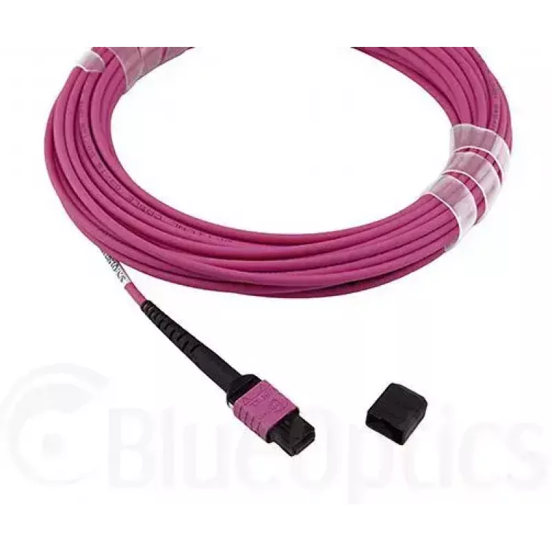BlueOptics CBL-MPO12-OM4-7M-BO InfiniBand šviesolaidinis kabelis 7,5 m OM4