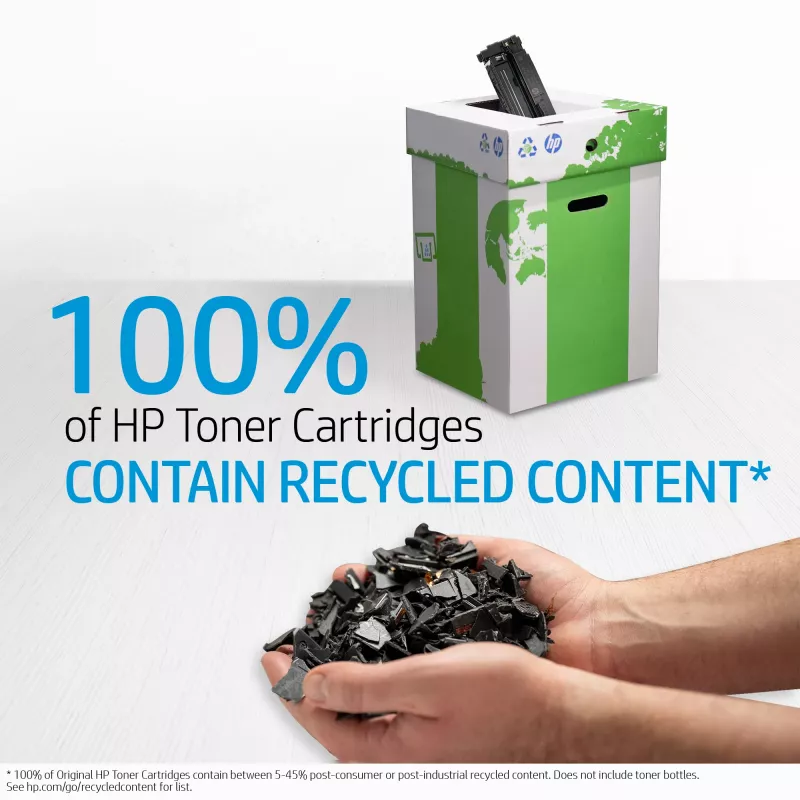 HP 504X 2 vnt. rinkinys didelio našumo juodos Originalios LaserJet dažų kasetės