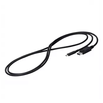 EIZO CP200-BK DisplayPort laidas 2 m USB Type-C Juoda