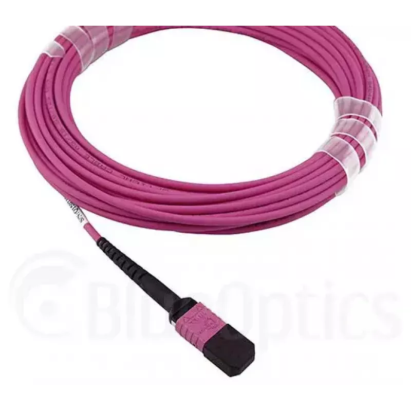 BlueOptics HH5CP InfiniBand / šviesolaidinis kabelis 3 m MPO–4× LC