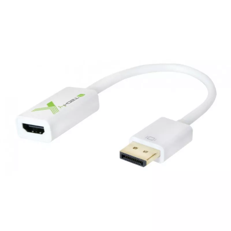Techly IADAP DP-HDMIFP vaizdo kabelio adapteris 0,2 m DisplayPort HDMI balta