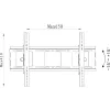 Techly ICA-PLB 231L TV laikiklis / stovas 177,8 cm (70 colių) juodas