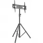 Techly ICA-TR17T iškabų ekrano laikiklis 177,8 cm (70 col.) juodas