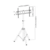 Techly ICA-TR17T iškabų ekrano laikiklis 177,8 cm (70 col.) juodas