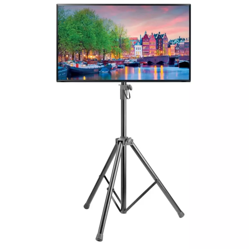 Techly ICA-TR17T iškabų ekrano laikiklis 177,8 cm (70 col.) juodas