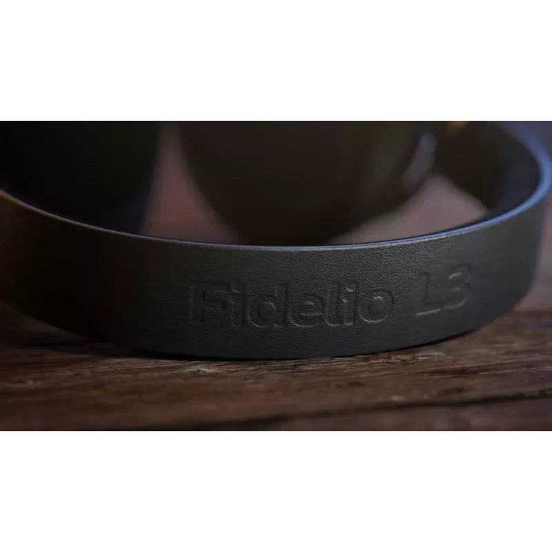 Ausinės Philips Fidelio