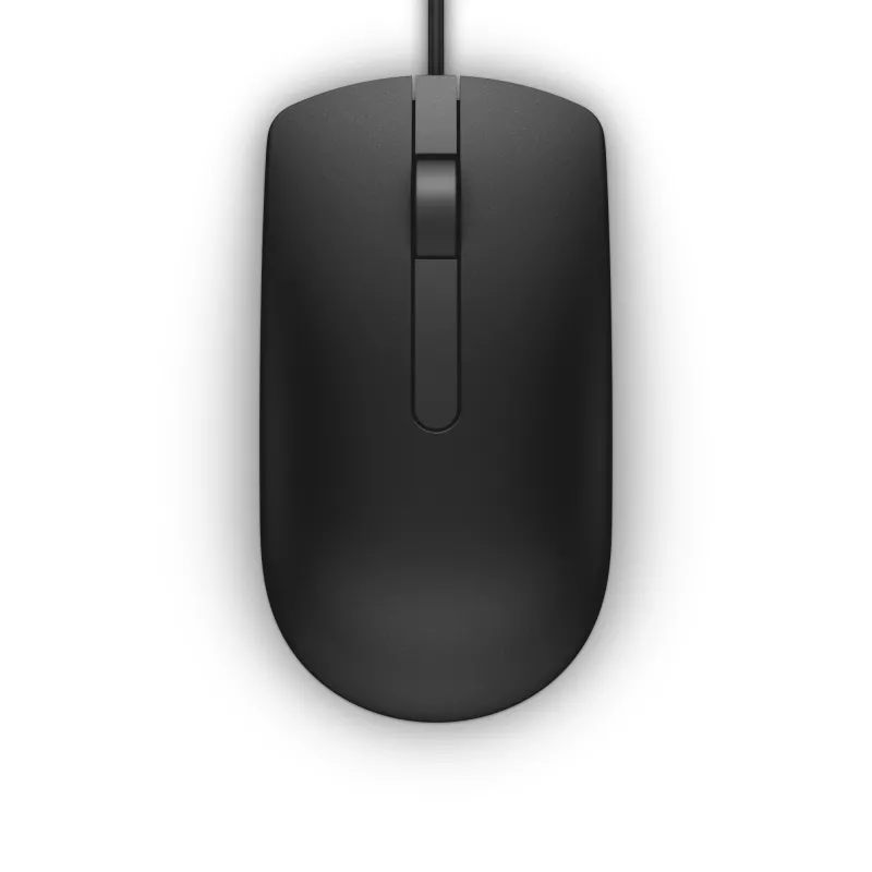 DELL MS116 pelė, biuro, abiem rankoms tinkama, USB Type-A, optinė, 1000 DPI
