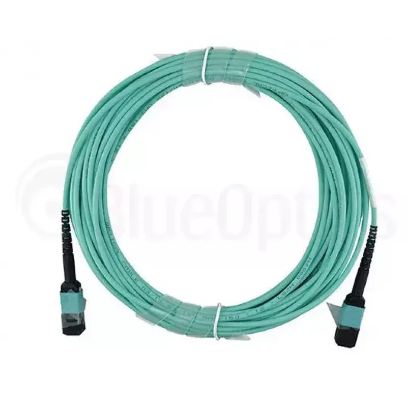 BlueOptics QSRCABLE1M InfiniBand šviesolaidinis kabelis 1 m MPO Aqua