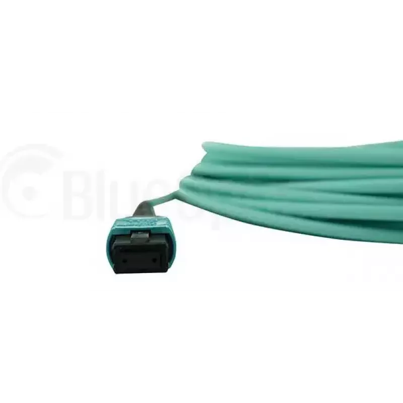 Šviesolaidinis kabelis BlueOptics QSRCABLE30M-BO MPO OM3 30 m mėtinės spalvos
