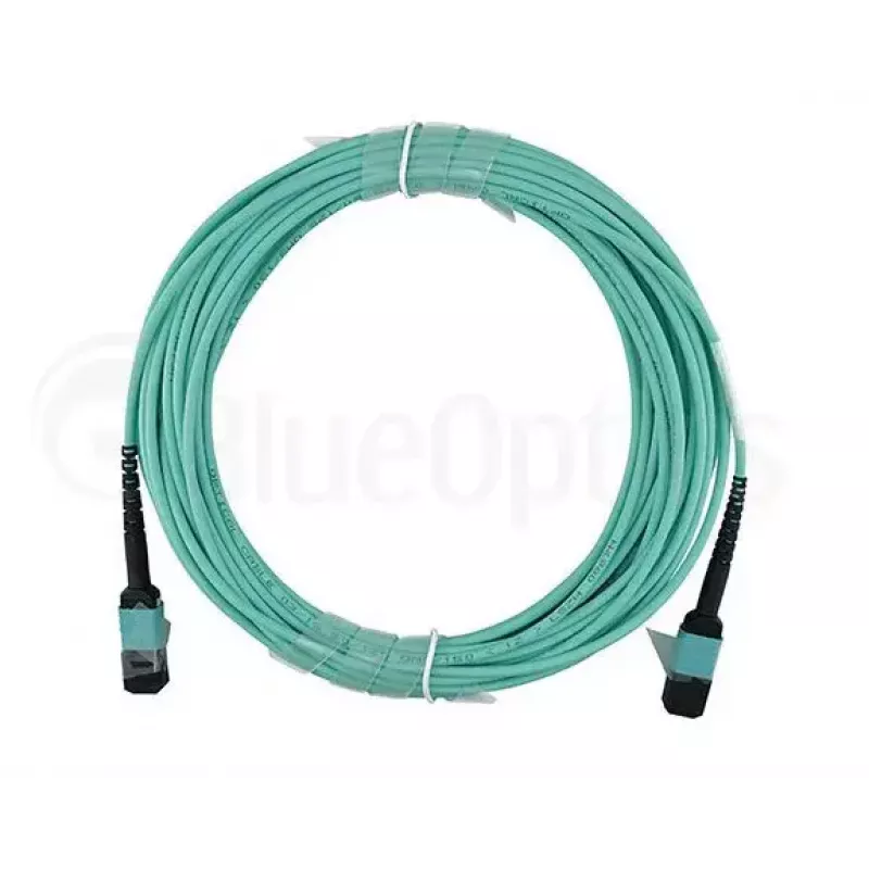 Šviesolaidinis kabelis BlueOptics QSRCABLE30M-BO MPO OM3 30 m mėtinės spalvos