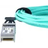 BlueOptics SFP-10G-AOC1M-BO InfiniBand / optinis kabelis 1 m SFP+