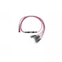 BlueOptics SFP5143FU3MKB InfiniBand šviesolaidinis kabelis 3 m MPO ST
