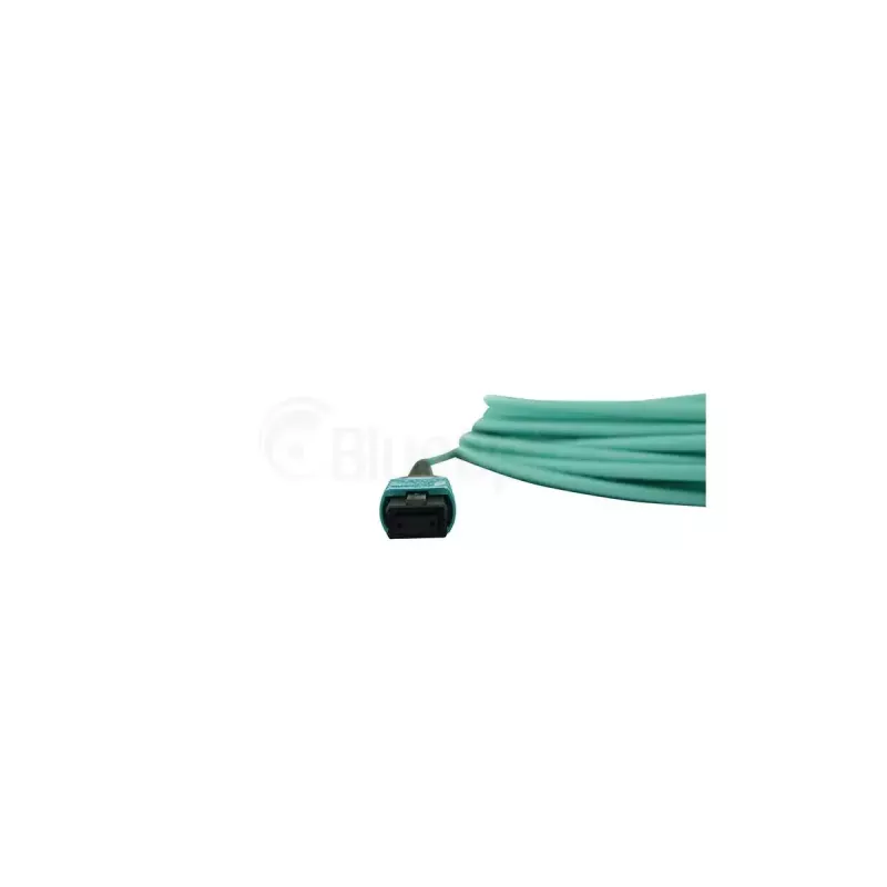 Šviesolaidinis kabelis BlueOptics SFP5252EU30MKB MPO OM3 30 m mėtinės spalvos