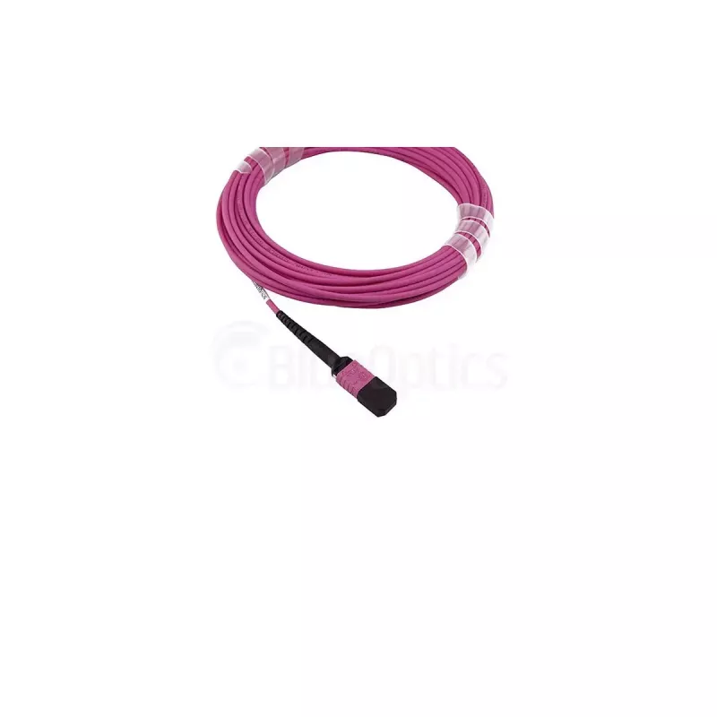 BlueOptics SFP5252FU2MKB InfiniBand šviesolaidinis kabelis 2 m MPO OM4