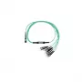 BlueOptics SFP6143EU3MKB InfiniBand šviesolaidinis kabelis 3 m OM3 MTP ST