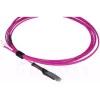 Šviesolaidinis kabelis BlueOptics SFP9231FU2MK MDC LC OM4 2 m purpurinis